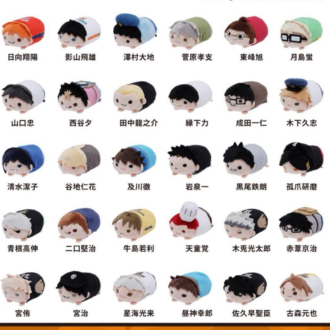 ハイキュー のるキャラマスコット 30体セット 箱付き