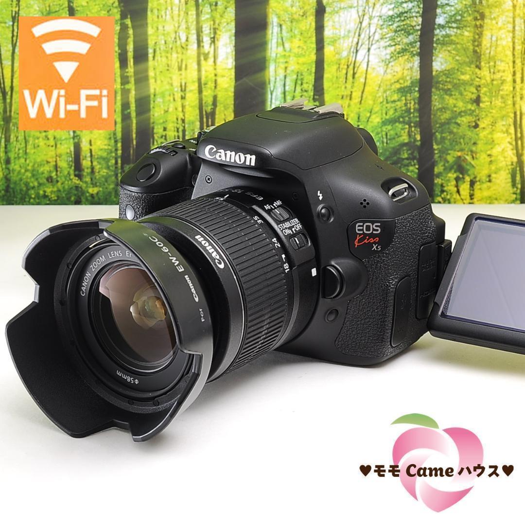 ✨極美品✨ニコン D5600❤️スマホ転送OK！❤️ショット数わずか4,258！