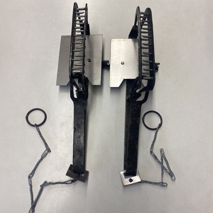 1946年パリ◇ディズニー ディンゴとドナルド オリンピックチャンピオン