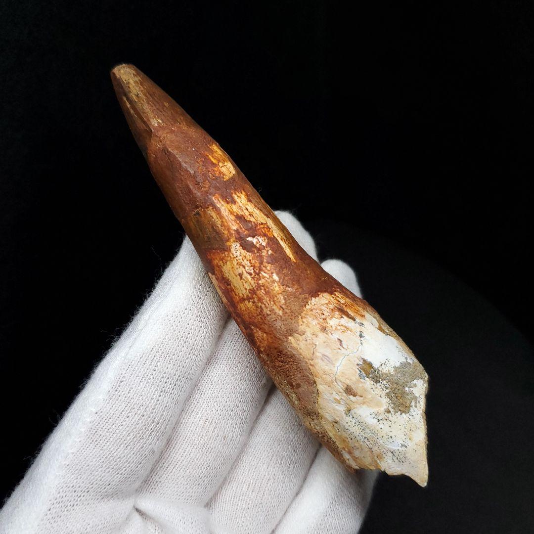 美品 スピノサウルス 本物 モロッコ産 94.41mm  sp435