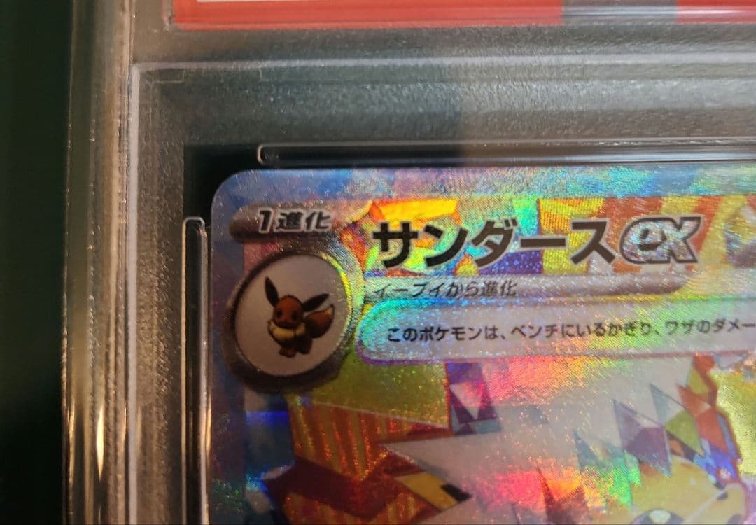 【PSA10】サンダースex SAR テラスタルフェス sv8a 209/187