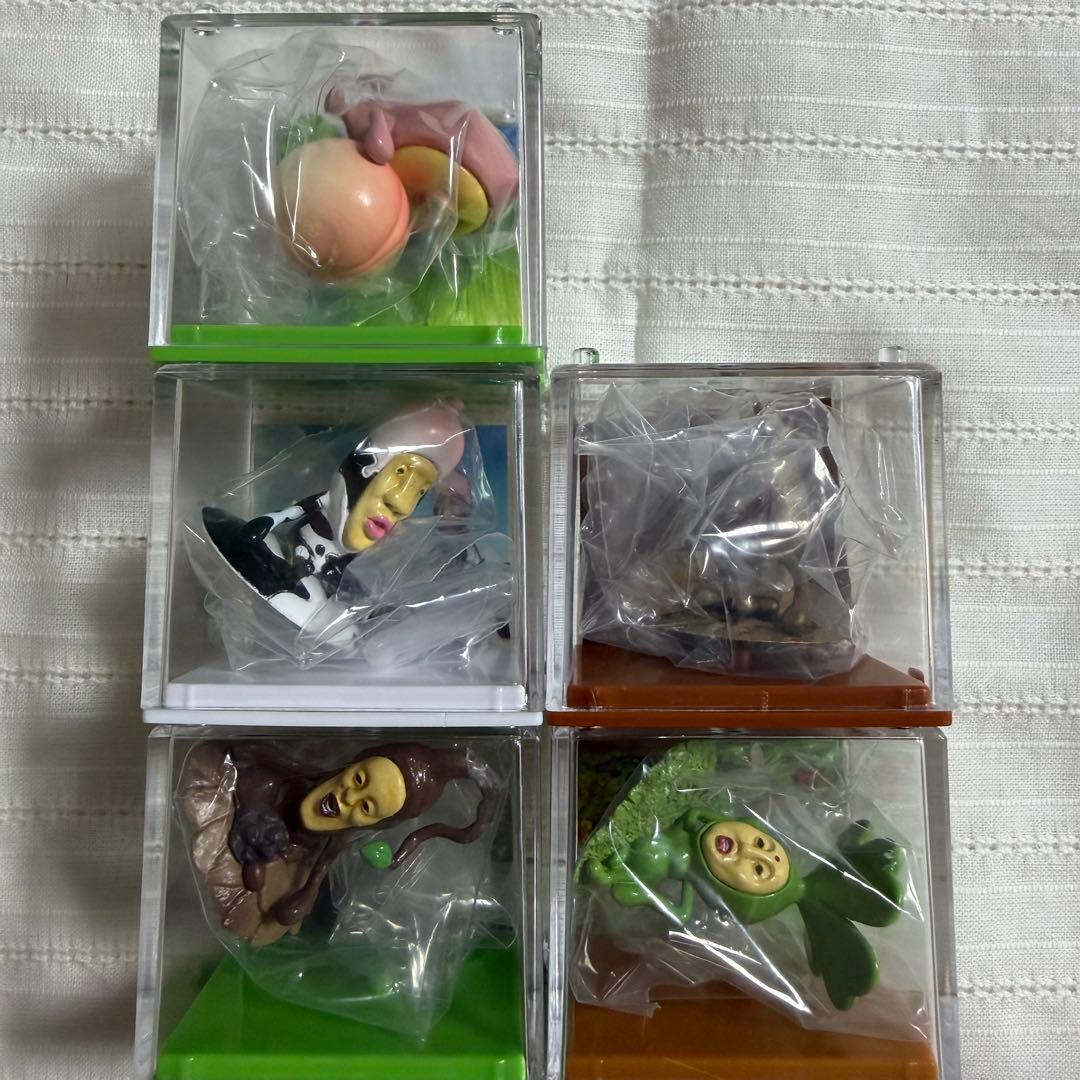 こびとづかん こびと採取BOXフルコンプ 全5種 - メルカリ