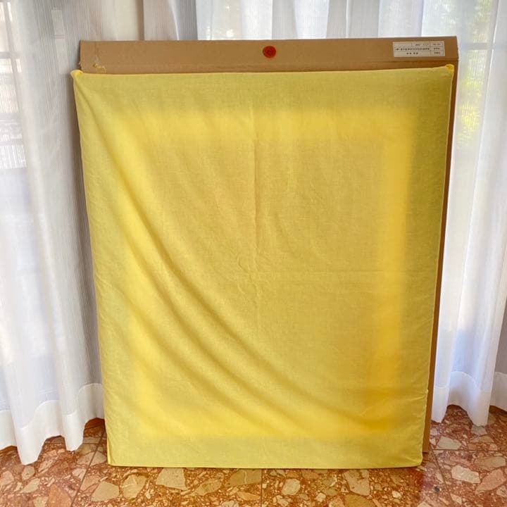 専用】深見東州『真如堂の「花の木」の紅葉は真っ盛り』373/500 半田