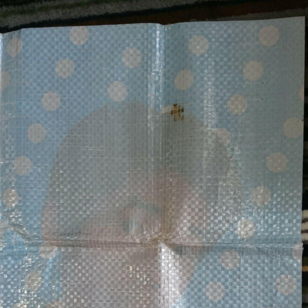 トヨタカローラレジャーシート