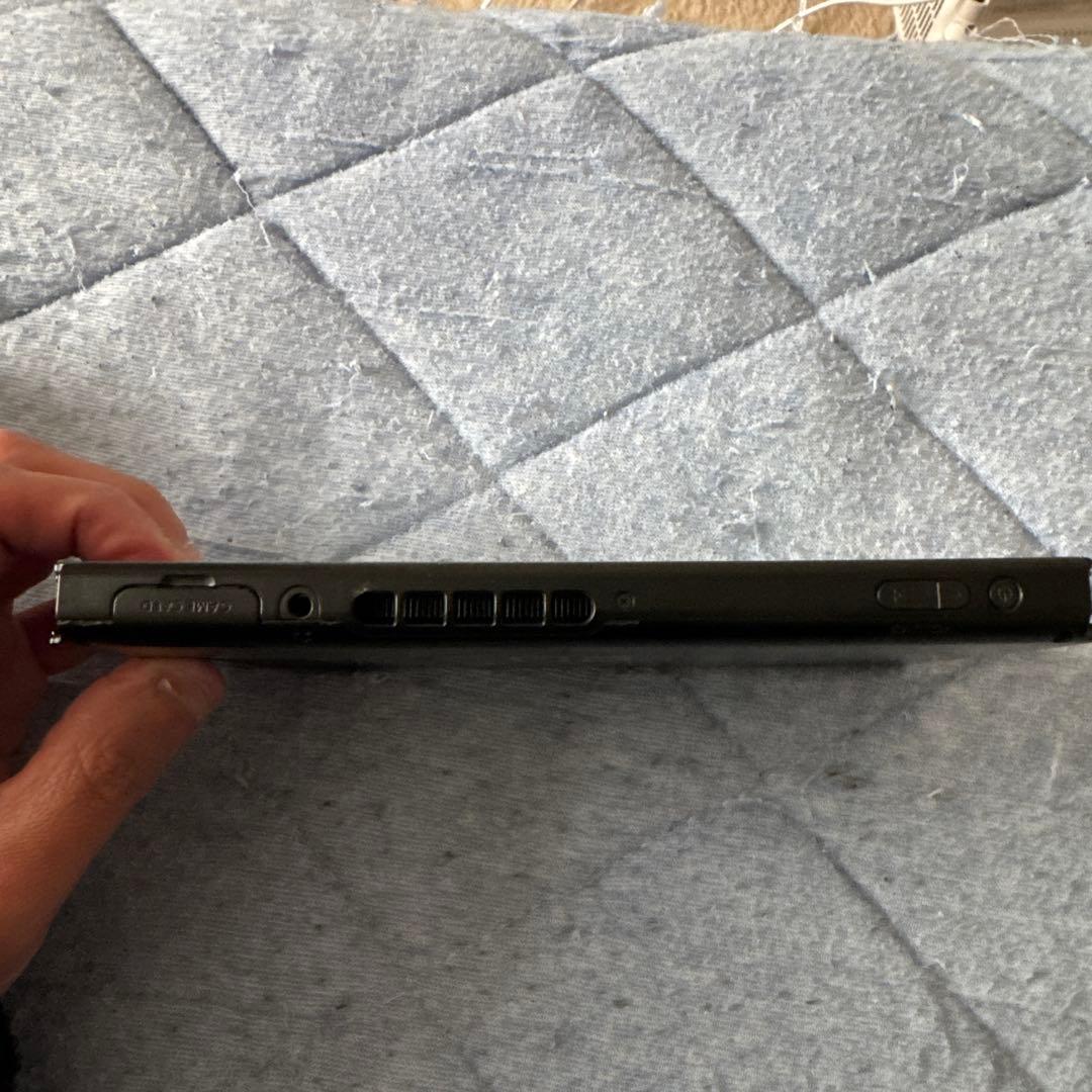 Nintendo Switch 本体+ プロコントローラー + ドッグ