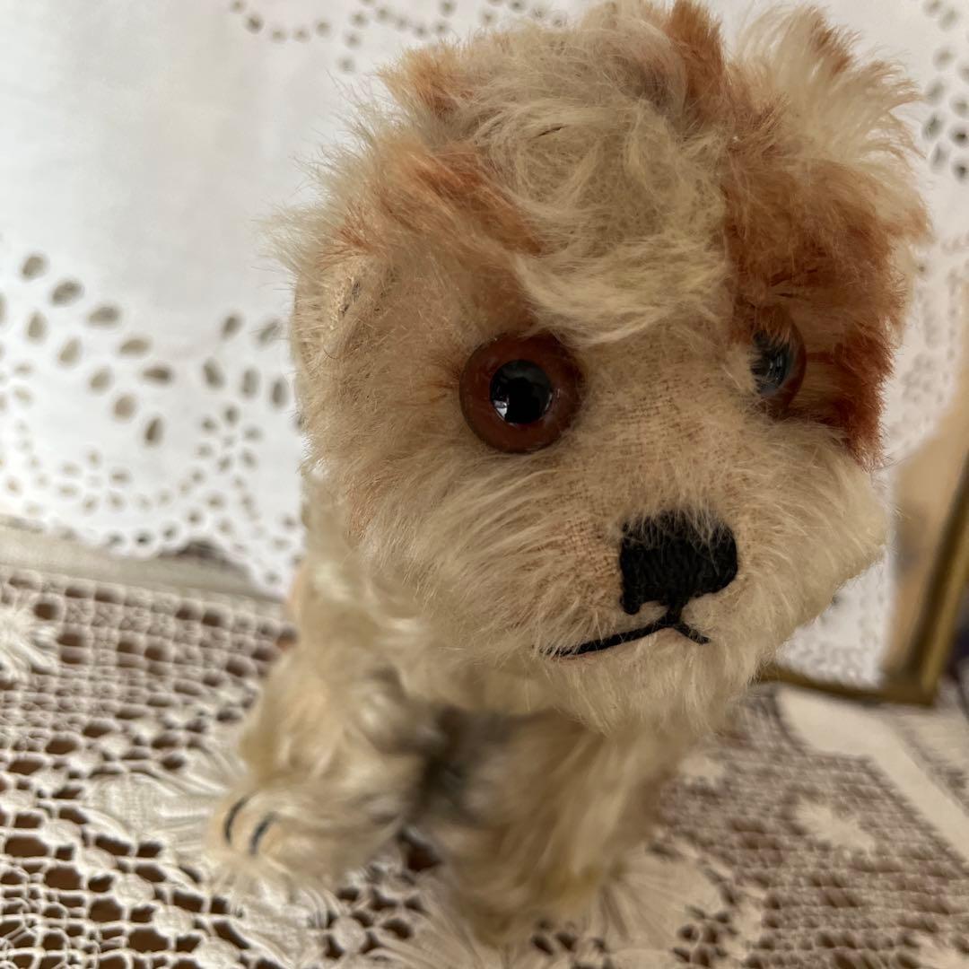 シュタイフ 犬のぬいぐるみ Molly Puppy Steiff タグボタン有