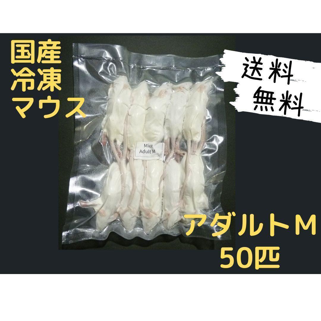 国産冷凍マウス アダルトM 50匹(送料無料一部地域発送不可) - メルカリ