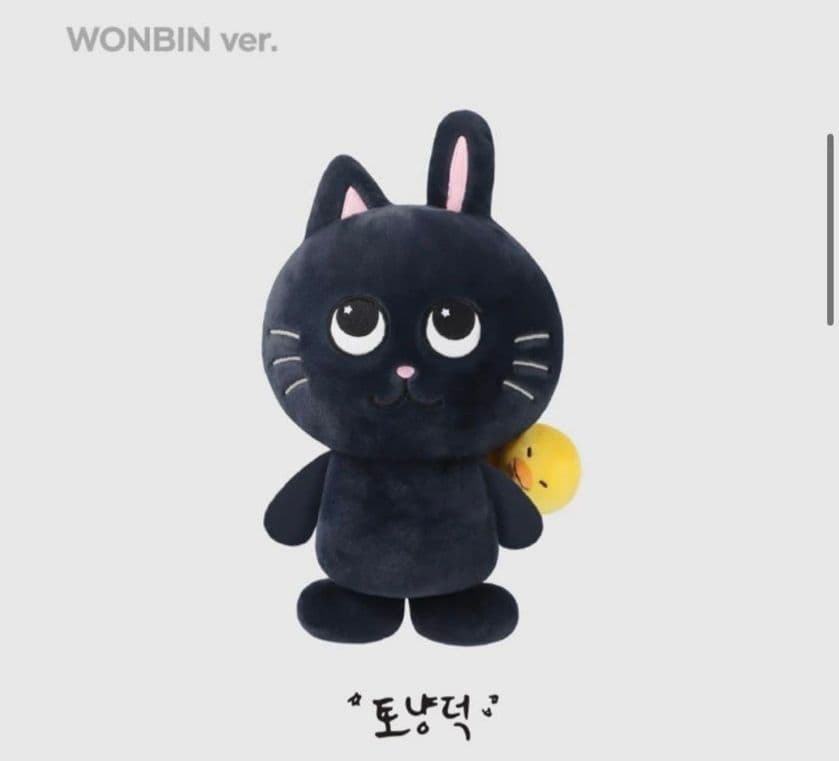 40cm ウォンビン トニャント ぬいぐるみ ライズ riize 公式 グッズ