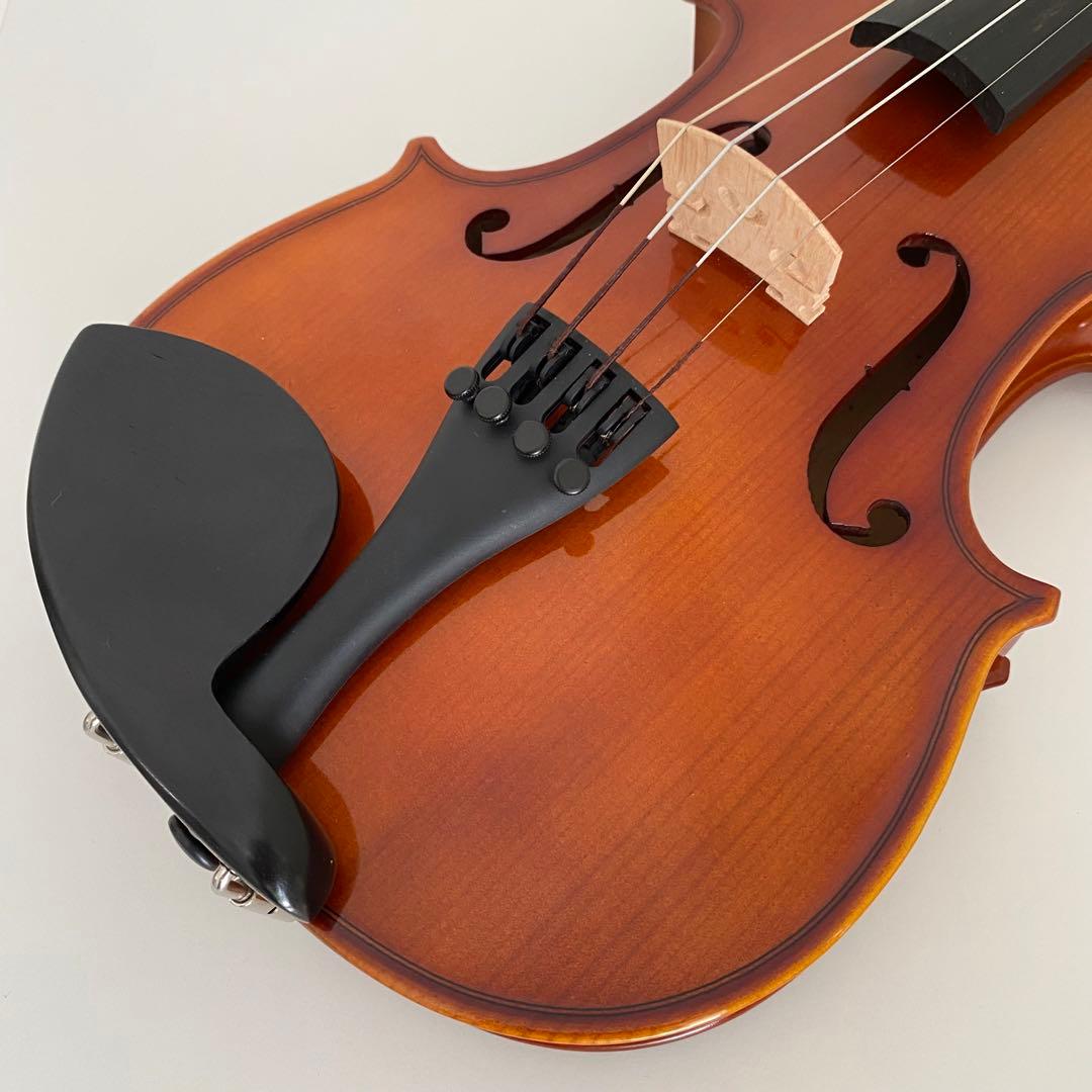 Carlo giordanoカルロジョルダーノ VS-1 3/4 ケース付