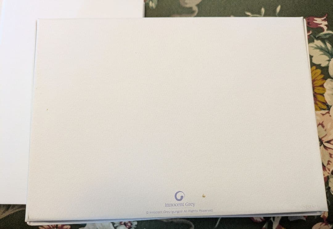 外箱と画集】殻ノ少女予約特典 Leilian Innocent Grey