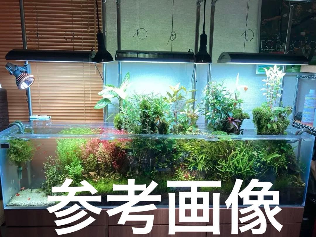 ADA ソーラーRGB 水槽用LEDライト 高級品