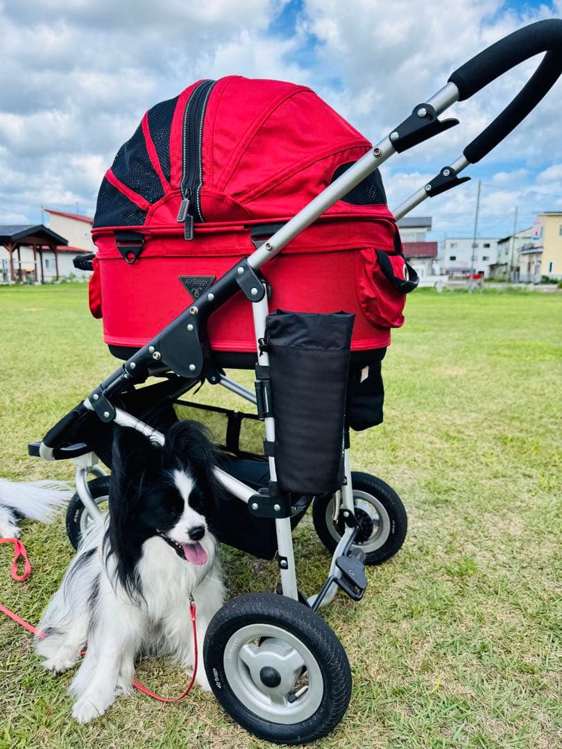 AIRBUGGY DOME3 ラージ グラスグリーンカスタム AIRBUGGY DOME3 ラージ