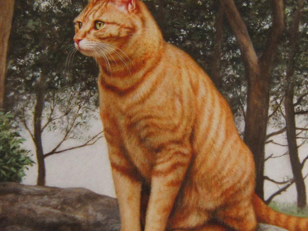 疋田正章、【風声】、希少な額装用画集より、厳選、新品額装、マット額装付、状態良好