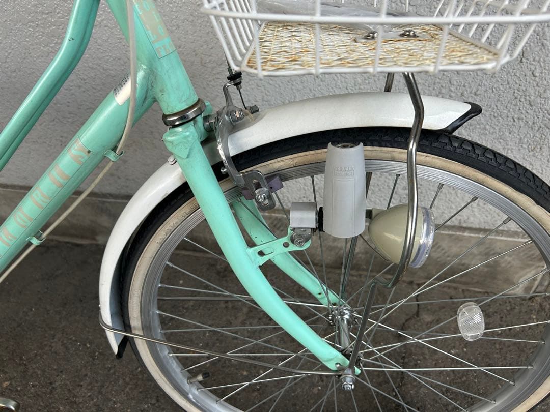 なつみかん 手渡のみ名古屋市市中村区区北区配送無料 中村なつみさん 子供