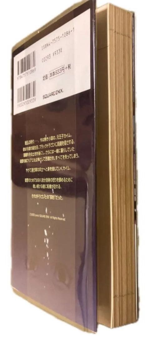 ドラッグオンドラグーン ストーリーサイド 小説