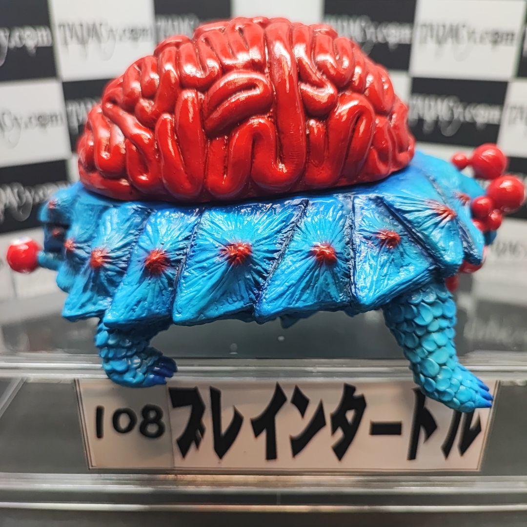 108ブレインタートル
