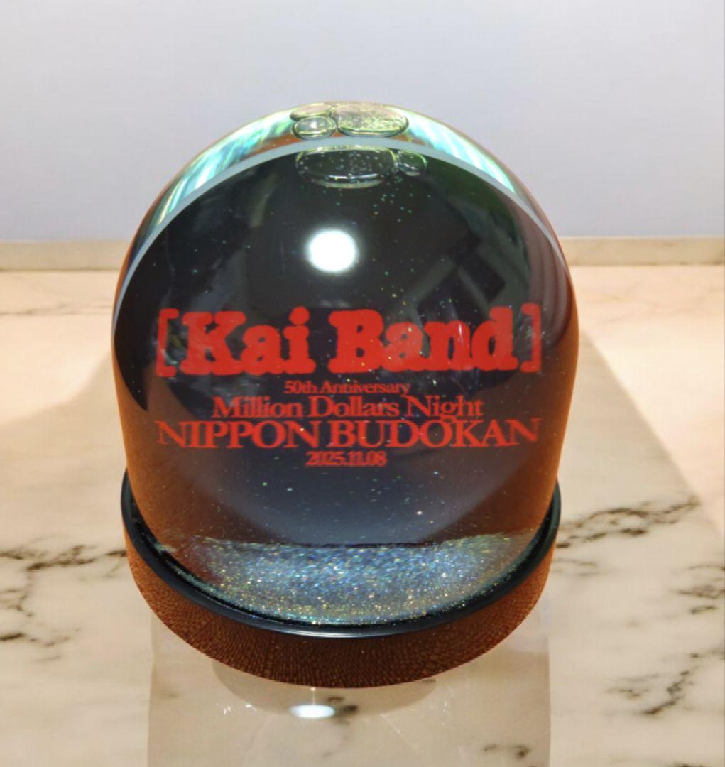 限定・非売品】甲斐バンド 武道館 VIP特典 スノードーム - メルカリ