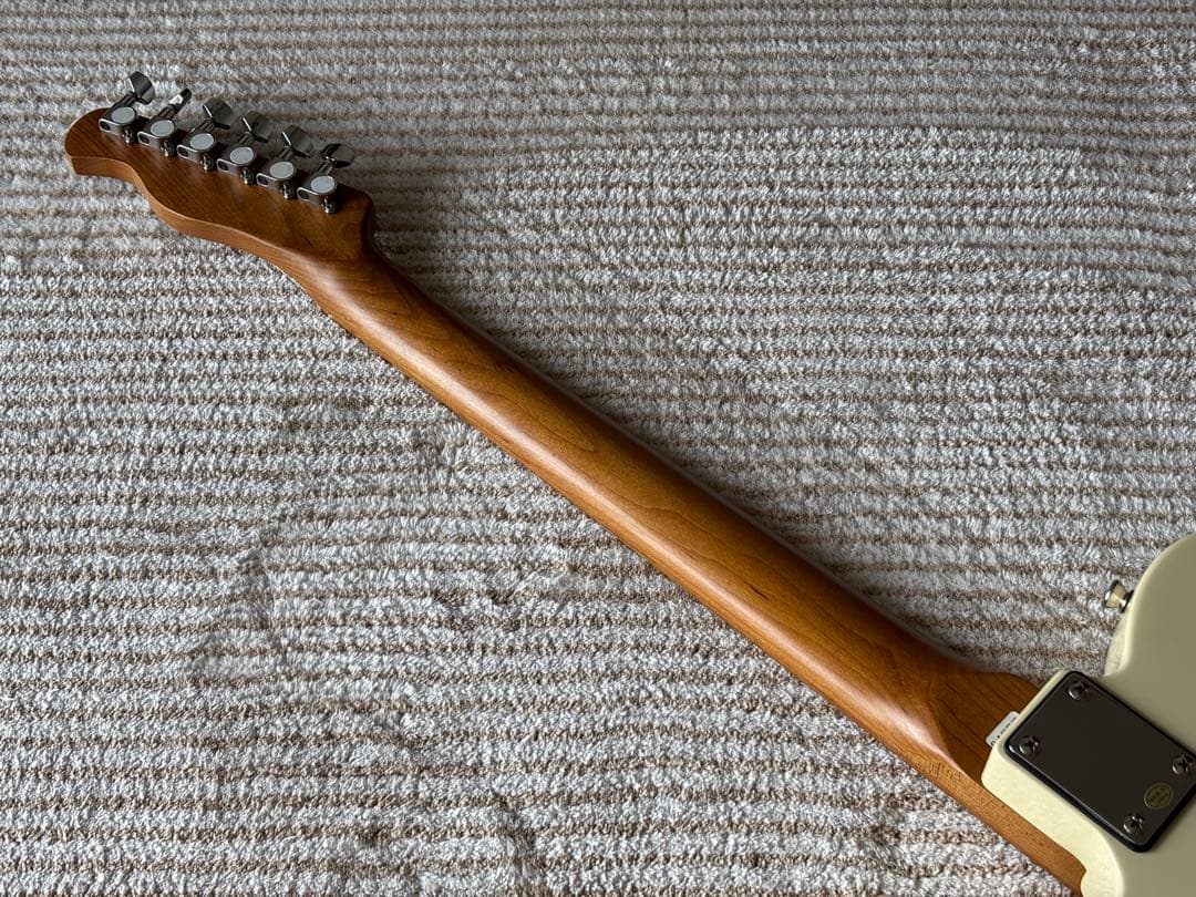 ギター Bacchus BTE-1 RSM/M OWH