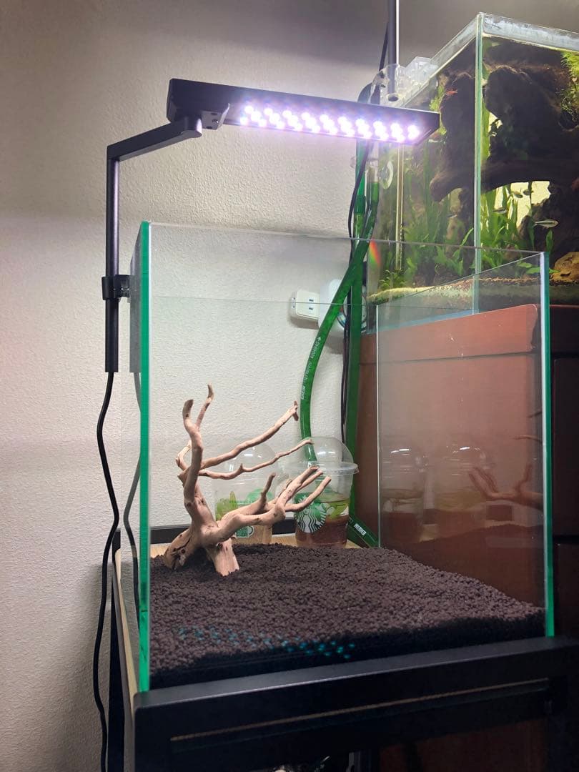 アクアリウム LEDライトChihiros C2 RGB 超 安い