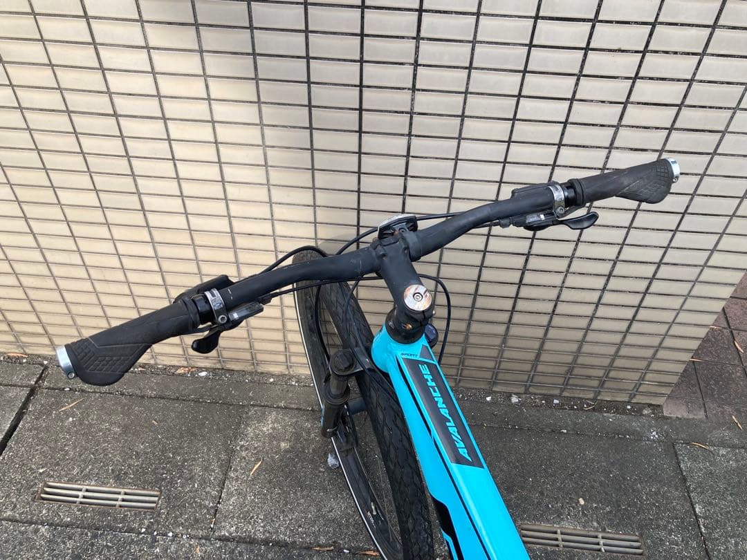 GT AVALANCHE SPORT ジーティー アバランチェ スポーツ29er