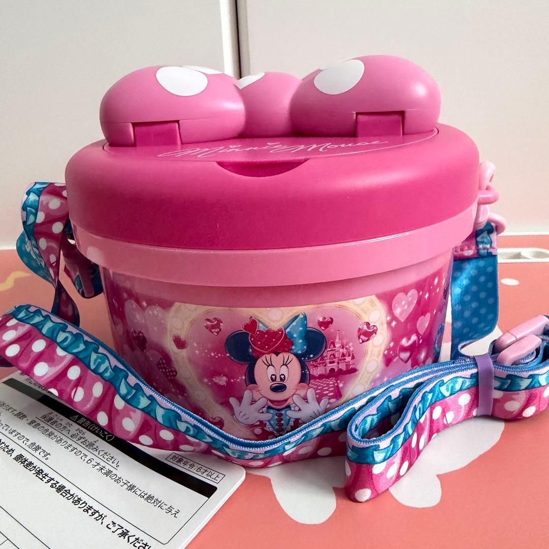 ディズニー ミニー パルパルーザ ファンダーランド ポップコーン