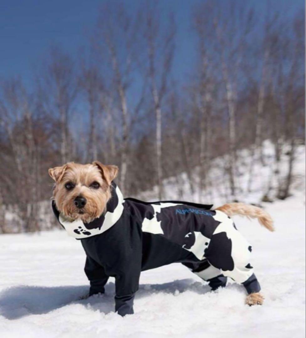 アルファアイコン スノードッグガード dxm - メルカリ