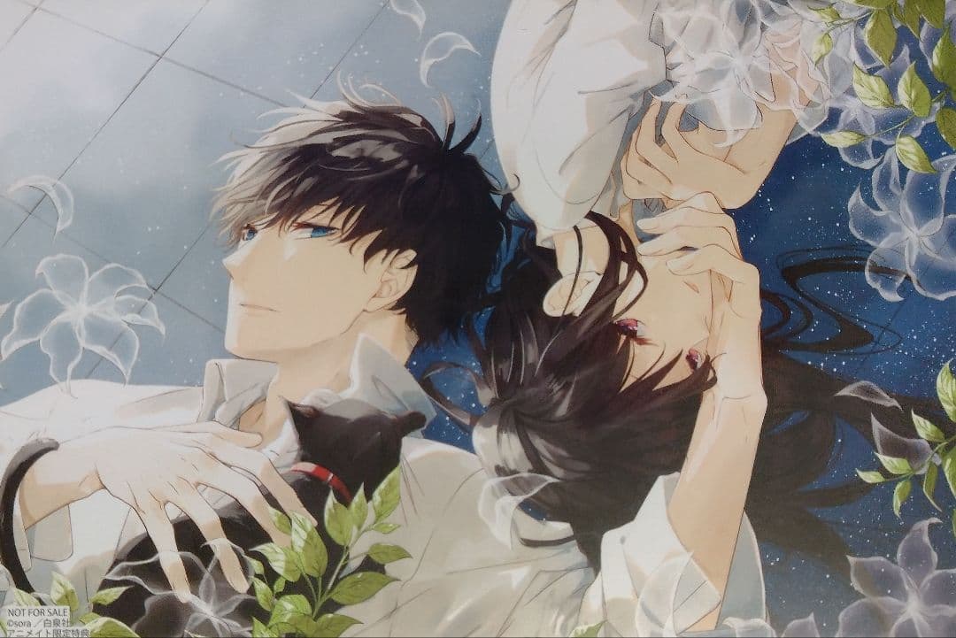 sora 墜落JKと廃人教師 アニメイト特典 イラストカード4種セット