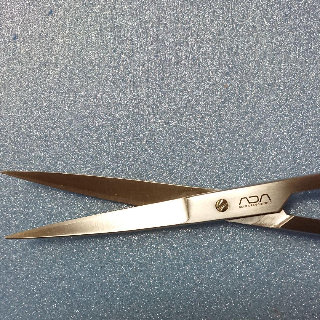 ADA プロシザース 本物 ヌード ADA プロシザースヌード ADAプロ