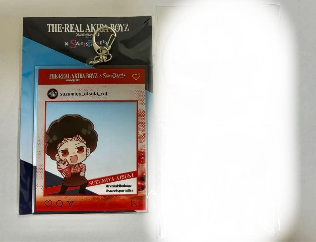 【バラ売り2点〜】リアルアキバボーイズ 涼宮あつき まとめ売り
