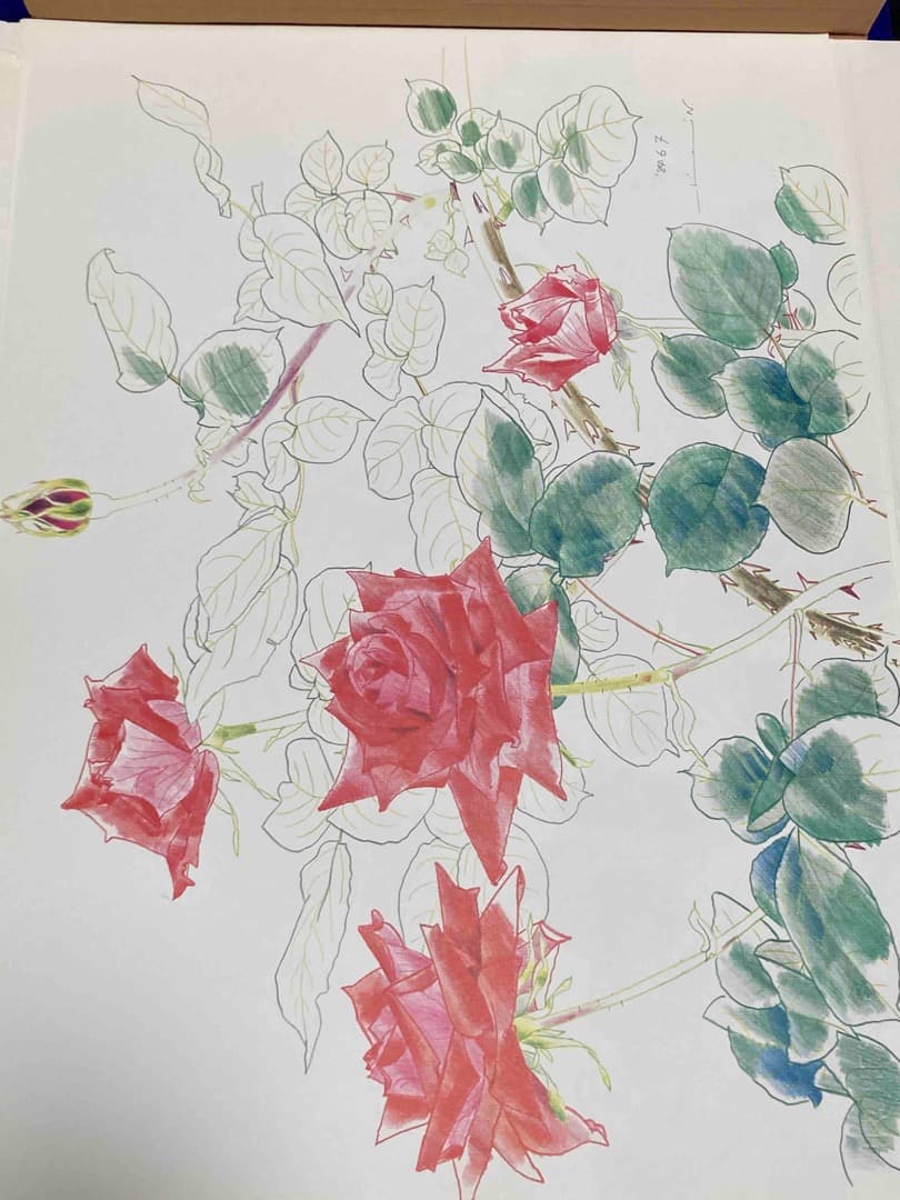 中島千波 花の写生 12葉◇中島千波著、求龍堂/Y090｜