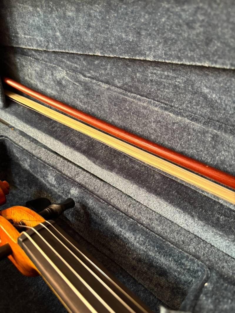 4/4CEVN エレクトリックバイオリンスタイル1　Cecilio セシリオ