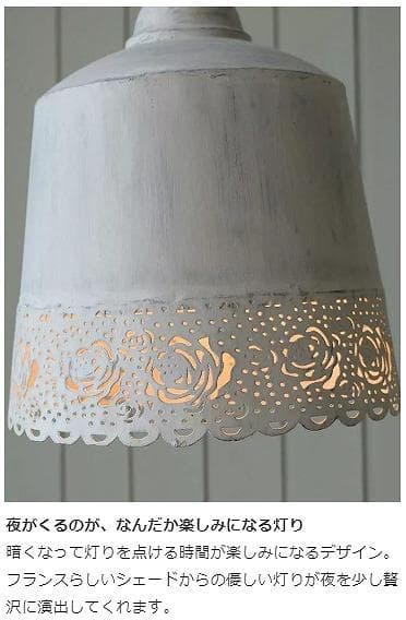 フランスより 浮かびあがる薔薇の模様 Coquecigruesのフロアランプ