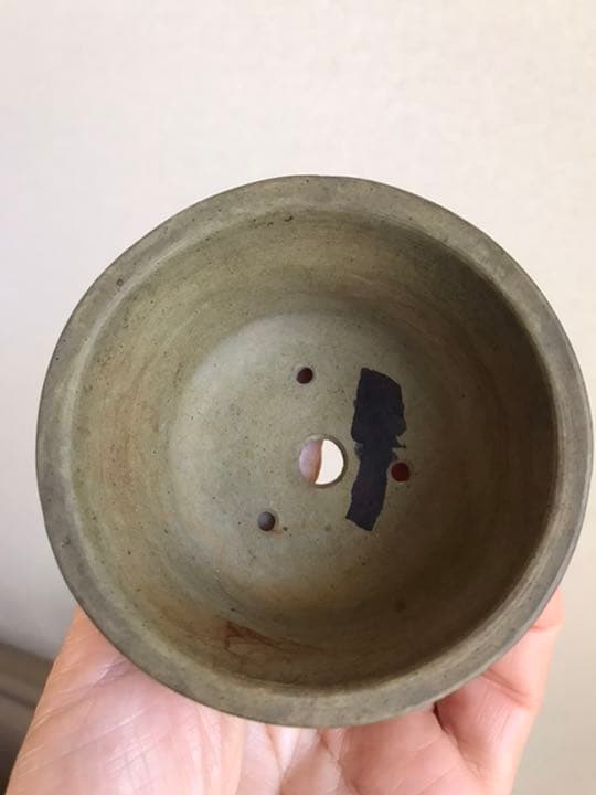 盆栽鉢　時代ミニ盆栽鉢小品常滑名工盆栽鉢服部3点山野草サボテン多肉植物