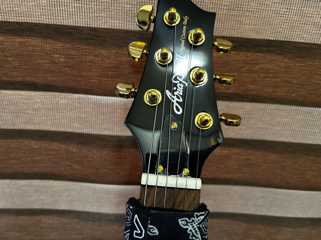 Aria Pro ll アリアプロ2 オールマホガニー レスポールタイプ □Aria