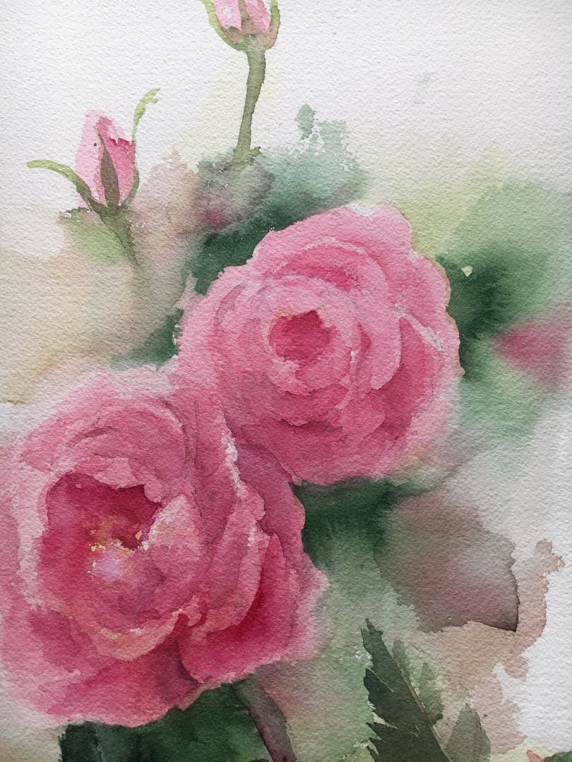 透明水彩画原画ピンクの薔薇⑥