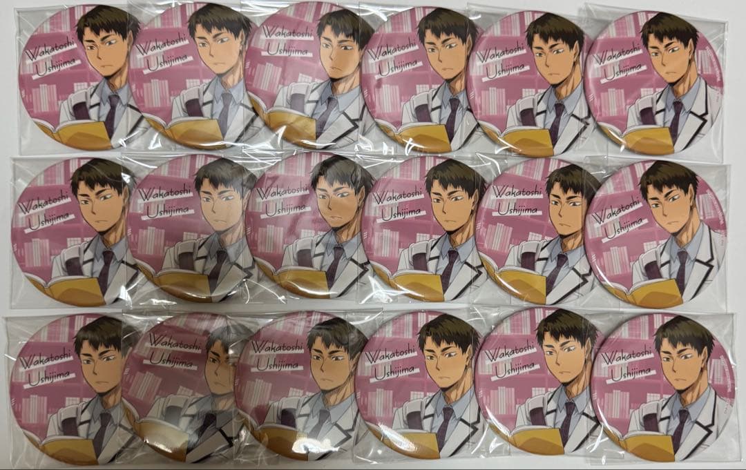 ハイキュー クリアファイル 26枚セット 烏野 影山