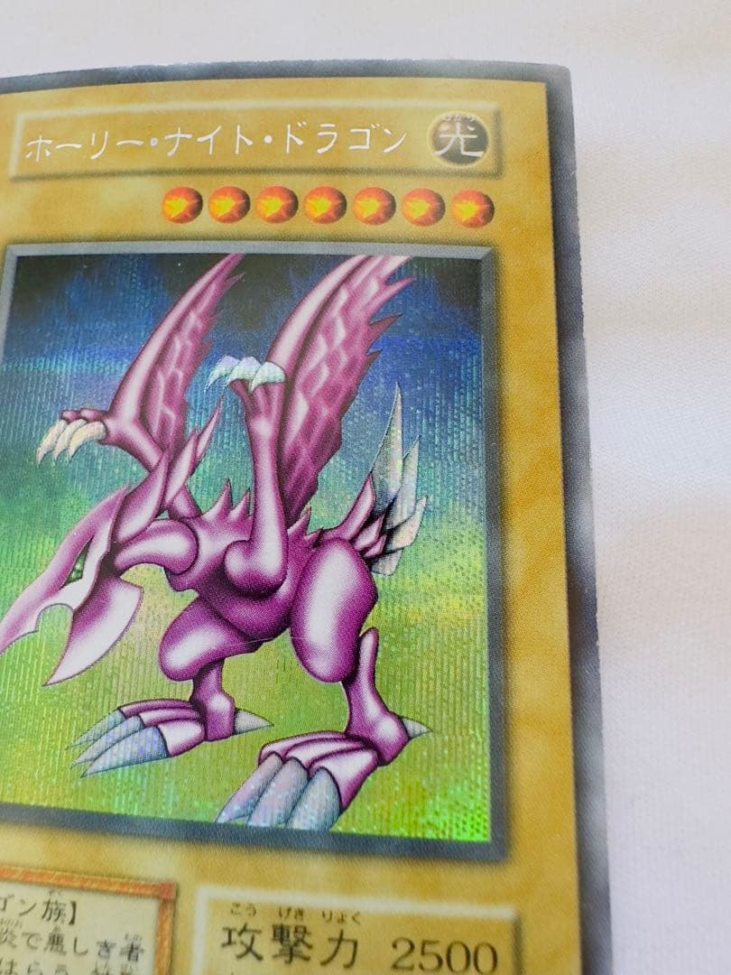 ホーリーナイトドラゴン　初期　シク