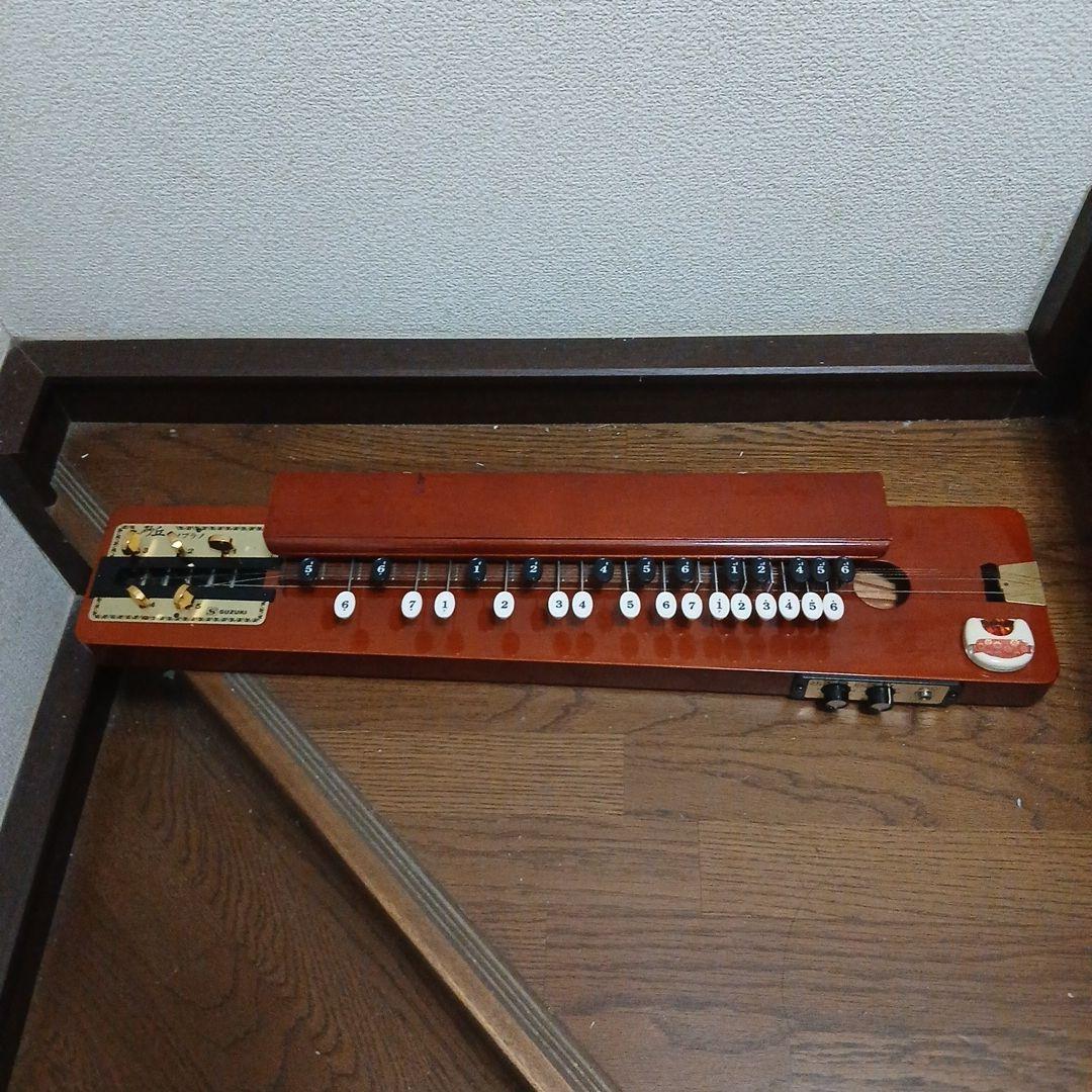 大正琴 専用ケース付き - メルカリ