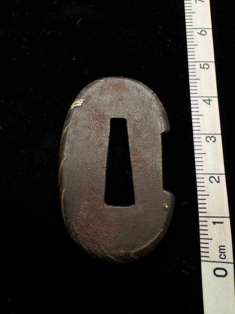 鐔 蜻蛉図 鉄 無銘 日本刀 刀装具 骨董 古美術 江戸時代 時代物