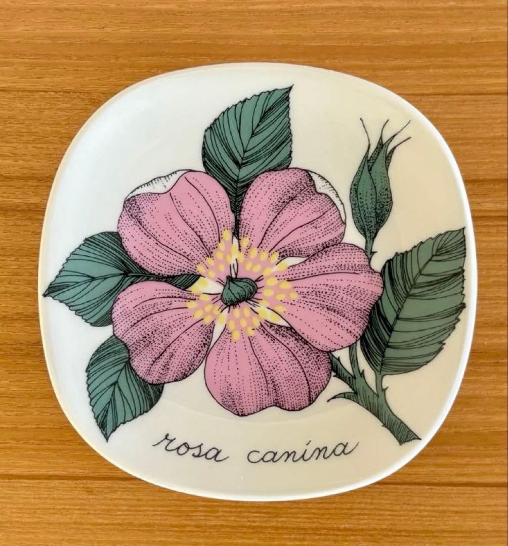 ARABIA エステリ・トムラ ボタニカ Rosa canina