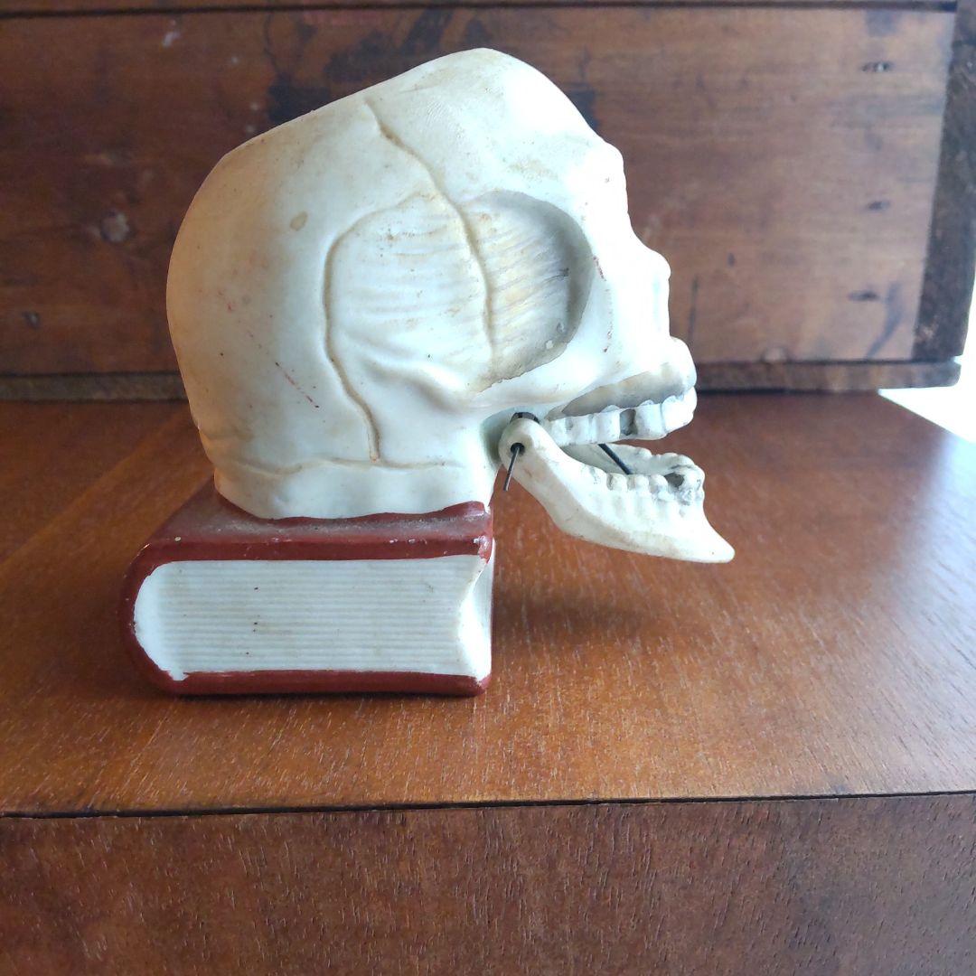 スカル 灰皿 ヴィンテージ オンライン ショッピング 通販