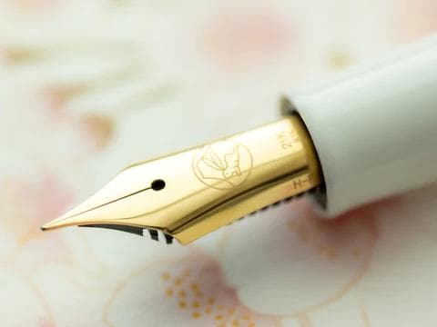 絶版品 入手困難 セーラー万年筆 レアロ 吸入式 EF ゆきのしたで 極細