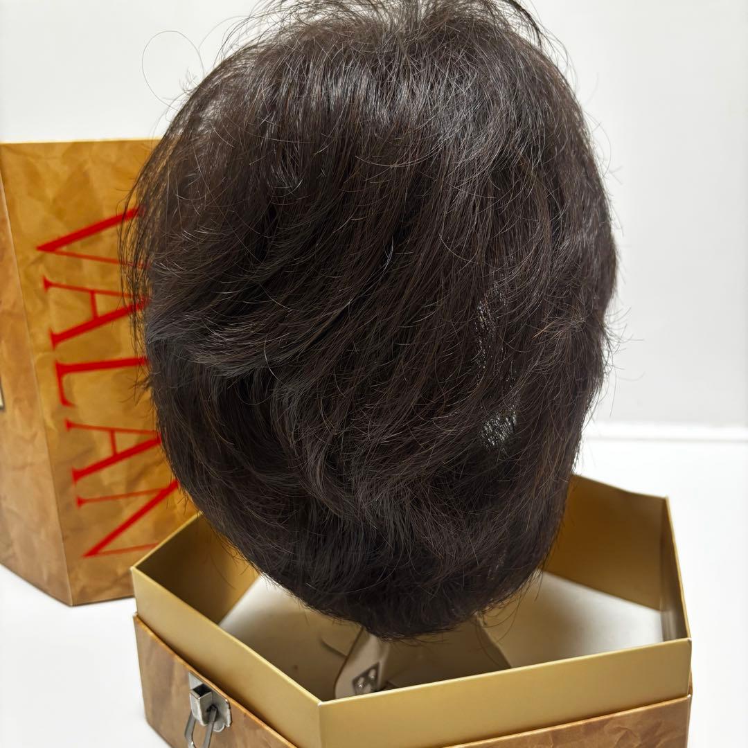 フォンテーヌ　ヴァラン　ナチュラルショートリバース　ウィッグ　VM33 F2B