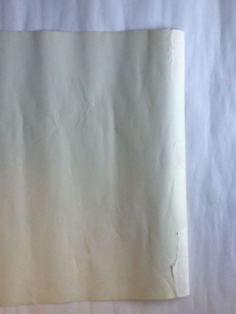 ドラゴンボールZ ポスター