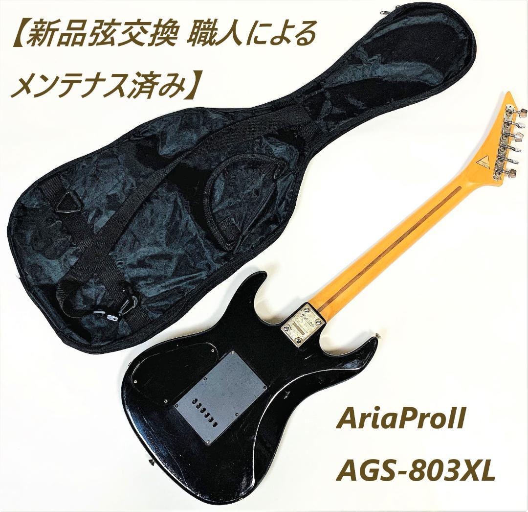 JAGARD CUSTOM GUITAR【新品弦交換・職人によるメンテナンス済み