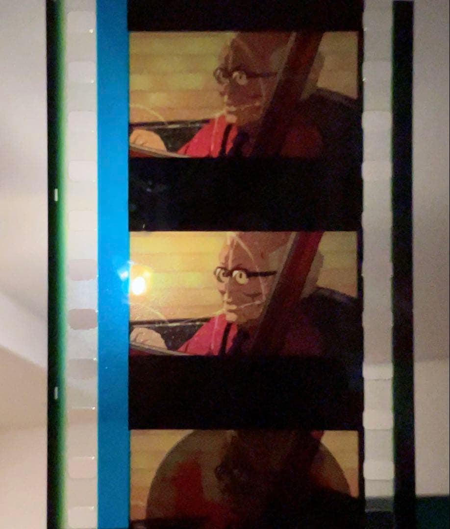 パプリカ 生フィルム 9枚セット