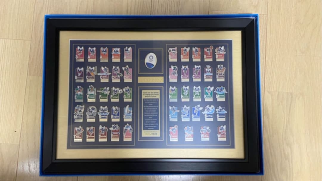 東京2020オリンピック全競技額装ピンバッジセット C99126943