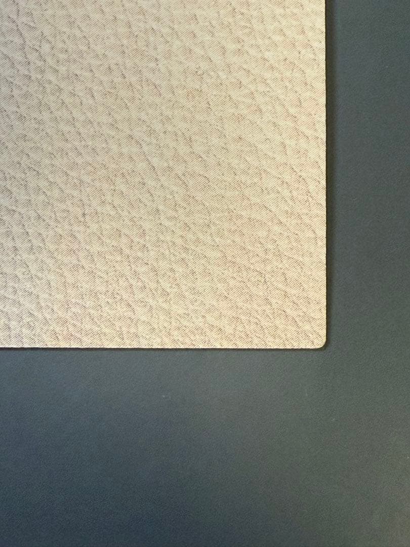 スラムダンク　カードダスマスターズ　桜木& 流川　#114