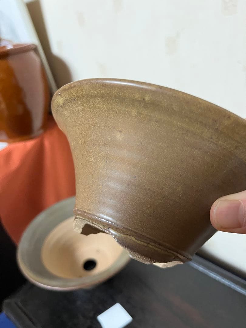 49 盆栽　盆栽鉢　植木鉢　和鉢　祥石　３鉢