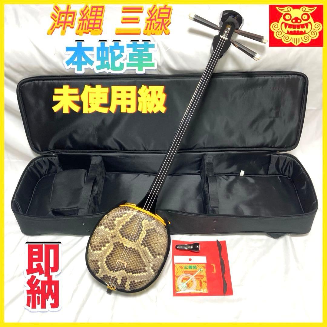 三線 沖縄 本蛇革 蛇革 蛇皮 ケース 付属品 和楽器 初心者 中級者
